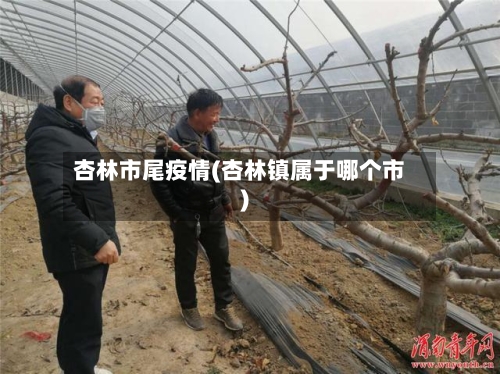 杏林市尾疫情(杏林镇属于哪个市)-第3张图片