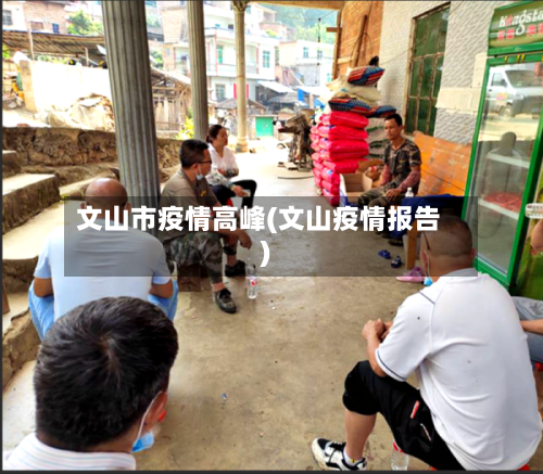 文山市疫情高峰(文山疫情报告)-第1张图片