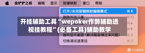 开挂辅助工具“wepoker作弊辅助透视挂教程	”(必备工具)辅助教学-第2张图片