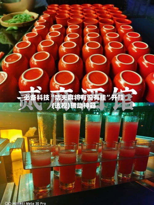 必备科技“功夫麻将有没有挂”开挂(透视)辅助神器-第3张图片