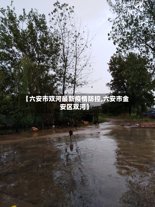 【六安市双河最新疫情防控,六安市金安区双河】-第1张图片