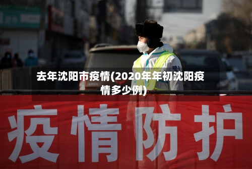 去年沈阳市疫情(2020年年初沈阳疫情多少例)-第1张图片