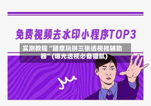 实测教程“随意玩拼三张透视挂辅助器	”(曝光透视必备猫腻)-第2张图片