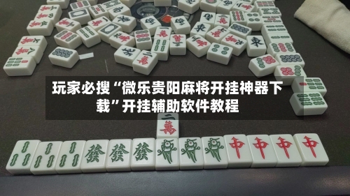 玩家必搜“微乐贵阳麻将开挂神器下载”开挂辅助软件教程-第3张图片