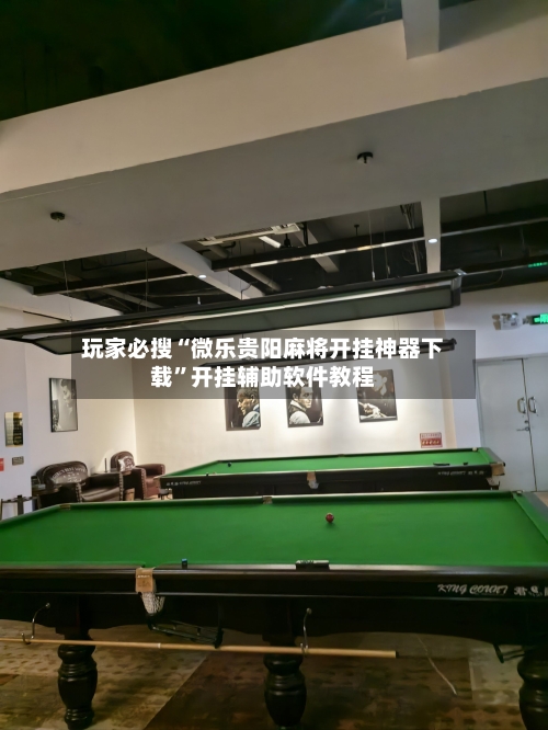 玩家必搜“微乐贵阳麻将开挂神器下载	”开挂辅助软件教程-第2张图片