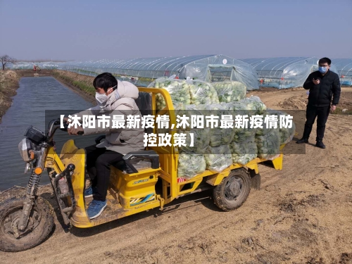 【沐阳市最新疫情,沐阳市最新疫情防控政策】-第1张图片