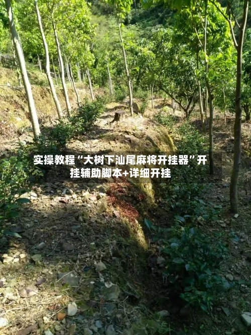 实操教程“大树下汕尾麻将开挂器	”开挂辅助脚本+详细开挂-第1张图片
