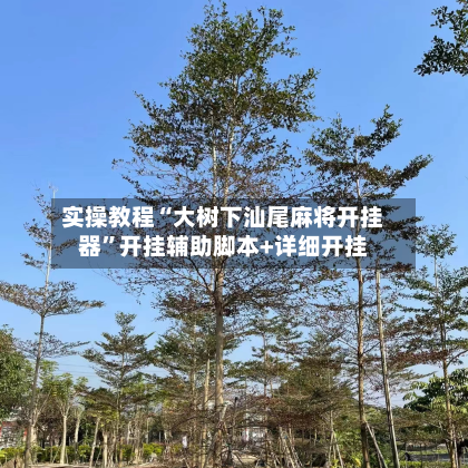 实操教程“大树下汕尾麻将开挂器”开挂辅助脚本+详细开挂-第2张图片