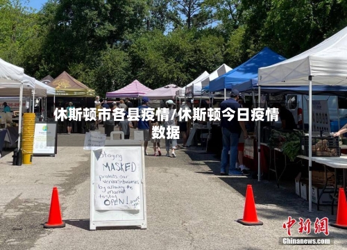 休斯顿市各县疫情/休斯顿今日疫情数据-第1张图片