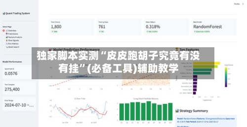 独家脚本实测“皮皮跑胡子究竟有没有挂”(必备工具)辅助教学-第3张图片