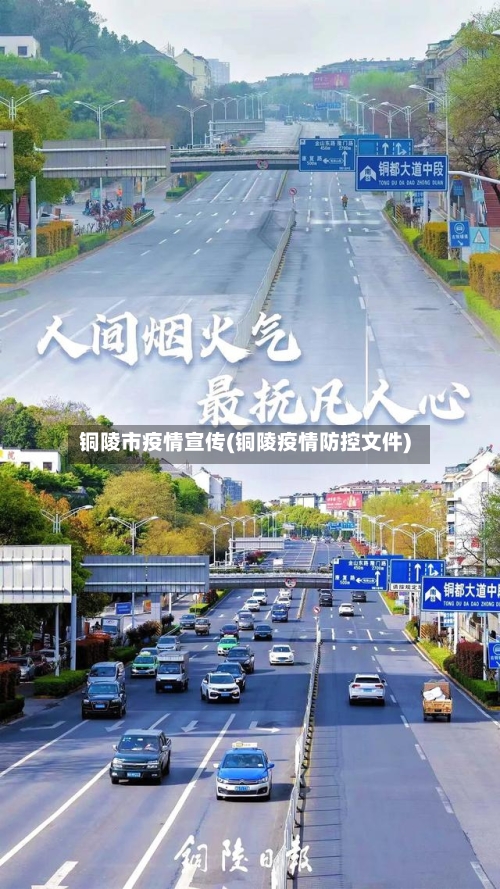 铜陵市疫情宣传(铜陵疫情防控文件)-第2张图片