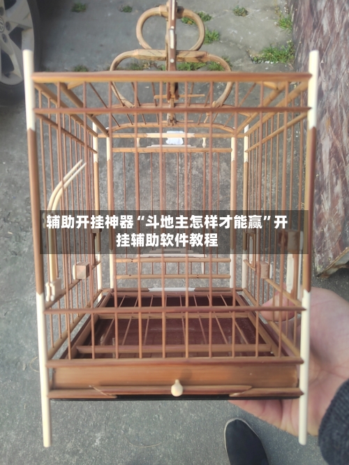 辅助开挂神器“斗地主怎样才能赢”开挂辅助软件教程-第3张图片