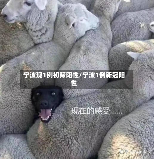 宁波现1例初筛阳性/宁波1例新冠阳性-第1张图片