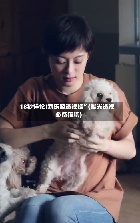 18秒详论!新乐游透视挂”(曝光透视必备猫腻)-第2张图片