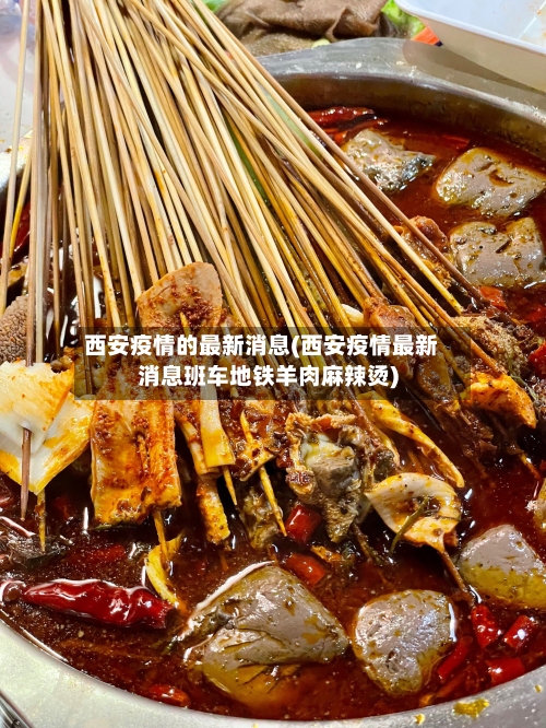 西安疫情的最新消息(西安疫情最新消息班车地铁羊肉麻辣烫)-第2张图片