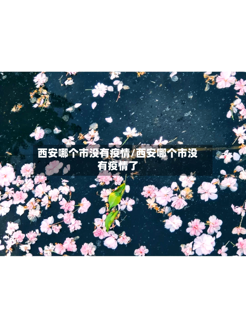 西安哪个市没有疫情/西安哪个市没有疫情了-第2张图片