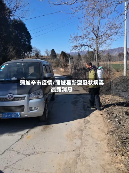 蒲城辛市疫情/蒲城县新型冠状病毒最新消息-第2张图片