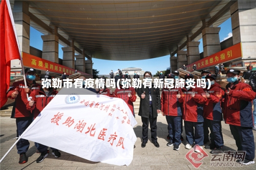 弥勒市有疫情吗(弥勒有新冠肺炎吗)-第2张图片