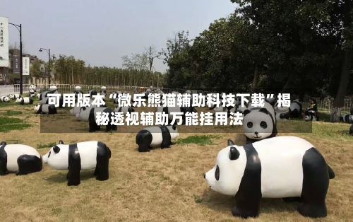 可用版本“微乐熊猫辅助科技下载”揭秘透视辅助万能挂用法-第3张图片