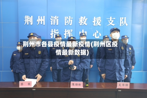 荆州市各县疫情最新疫情(荆州区疫情最新数据)-第3张图片