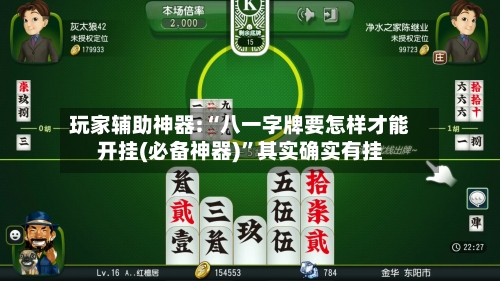 玩家辅助神器:“八一字牌要怎样才能开挂(必备神器)”其实确实有挂-第1张图片