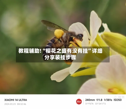 教程辅助!“樱花之盛有没有挂”详细分享装挂步骤-第1张图片