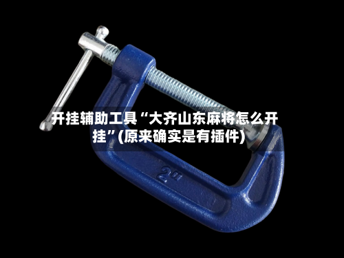 开挂辅助工具“大齐山东麻将怎么开挂	”(原来确实是有插件)-第1张图片