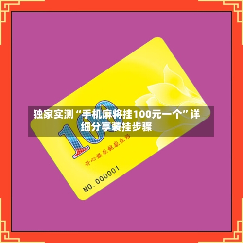 独家实测“手机麻将挂100元一个”详细分享装挂步骤-第3张图片