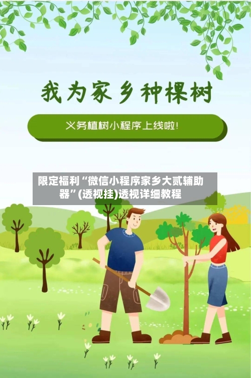 限定福利“微信小程序家乡大贰辅助器	”(透视挂)透视详细教程-第2张图片