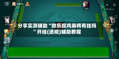 分享实测辅助“微乐捉鸡麻将有挂吗”开挂(透视)辅助教程-第3张图片
