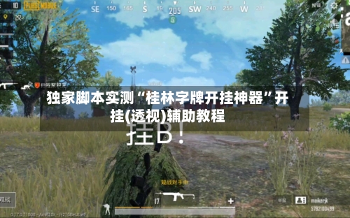 独家脚本实测“桂林字牌开挂神器	”开挂(透视)辅助教程-第1张图片