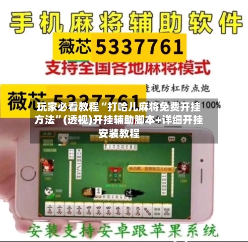 玩家必看教程“打哈儿麻将免费开挂方法	”(透视)开挂辅助脚本+详细开挂安装教程-第3张图片