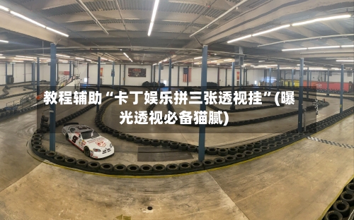 教程辅助“卡丁娱乐拼三张透视挂”(曝光透视必备猫腻)-第3张图片