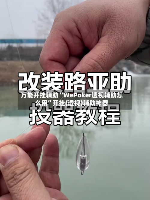 万能开挂辅助“WePoker透视辅助怎么用”开挂(透视)辅助神器-第1张图片