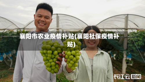 襄阳市农业疫情补贴(襄阳社保疫情补贴)-第2张图片