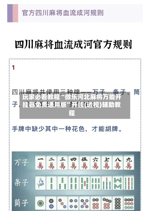 玩家必看教程“微乐河北麻将万能开挂器免费通用版”开挂(透视)辅助教程-第3张图片