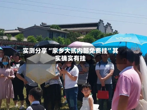 实测分享“家乡大贰内部免费挂”其实确实有挂-第1张图片