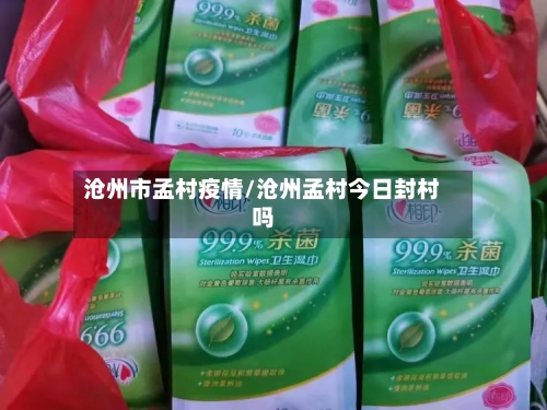 沧州市孟村疫情/沧州孟村今日封村吗-第1张图片