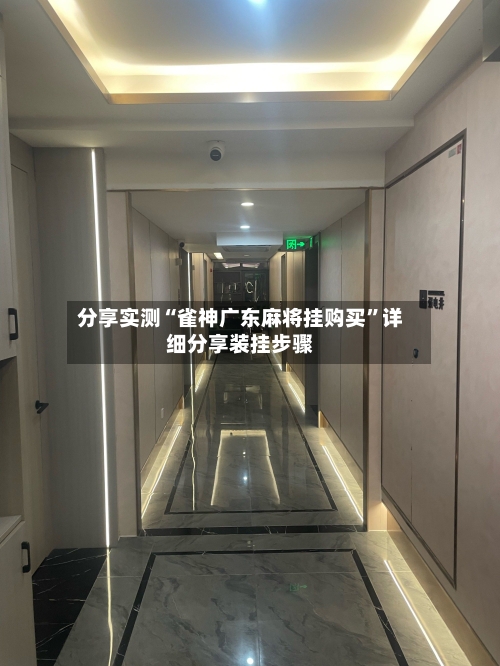 分享实测“雀神广东麻将挂购买”详细分享装挂步骤-第3张图片