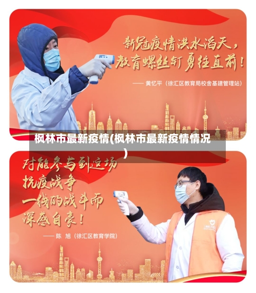 枫林市最新疫情(枫林市最新疫情情况)-第2张图片