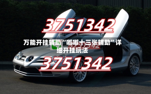 万能开挂辅助“嘟嘟十三张辅助	”详细开挂玩法-第1张图片