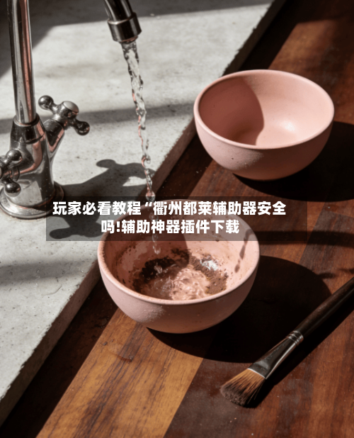 玩家必看教程“衢州都莱辅助器安全吗!辅助神器插件下载-第2张图片