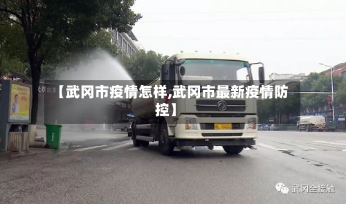 【武冈市疫情怎样,武冈市最新疫情防控】-第1张图片