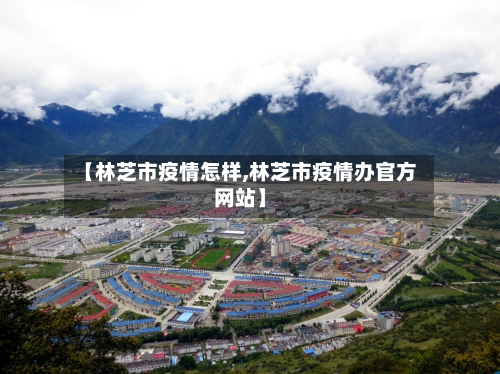 【林芝市疫情怎样,林芝市疫情办官方网站】-第3张图片