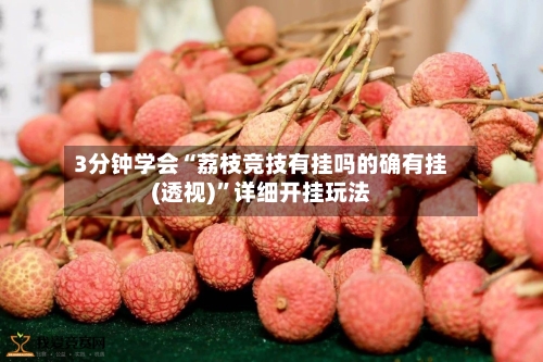 3分钟学会“荔枝竞技有挂吗的确有挂(透视)	”详细开挂玩法-第1张图片