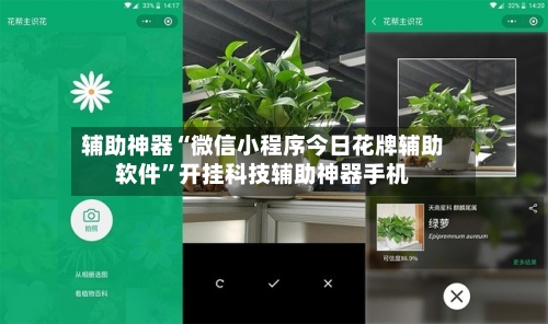 辅助神器“微信小程序今日花牌辅助软件”开挂科技辅助神器手机-第3张图片