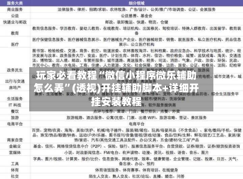 玩家必看教程“微信小程序微乐辅助怎么弄”(透视)开挂辅助脚本+详细开挂安装教程-第2张图片