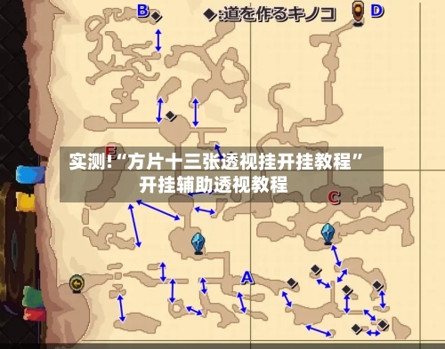 实测!“方片十三张透视挂开挂教程”开挂辅助透视教程-第3张图片