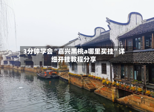 3分钟学会“嘉兴黑桃a哪里买挂	”详细开挂教程分享-第2张图片