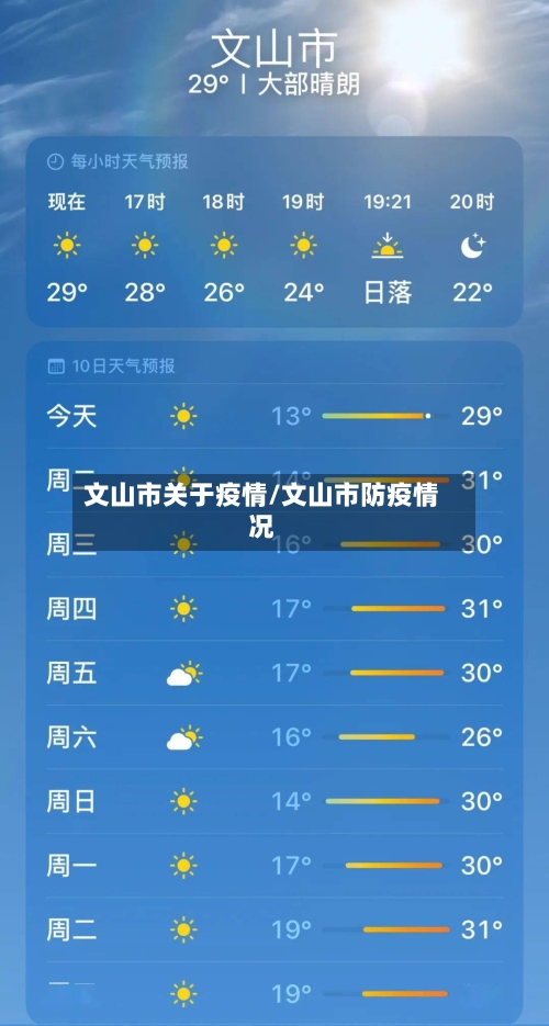 文山市关于疫情/文山市防疫情况-第2张图片